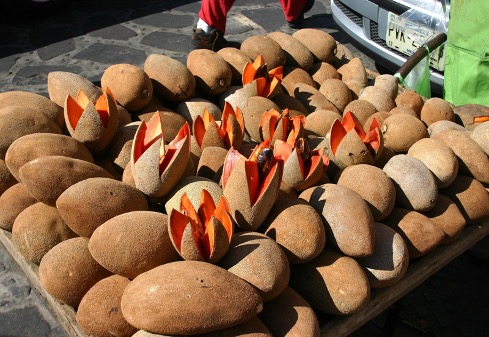 Mamey Fruit